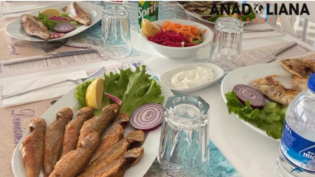 مطعم Kvacoli Balık Lokantası